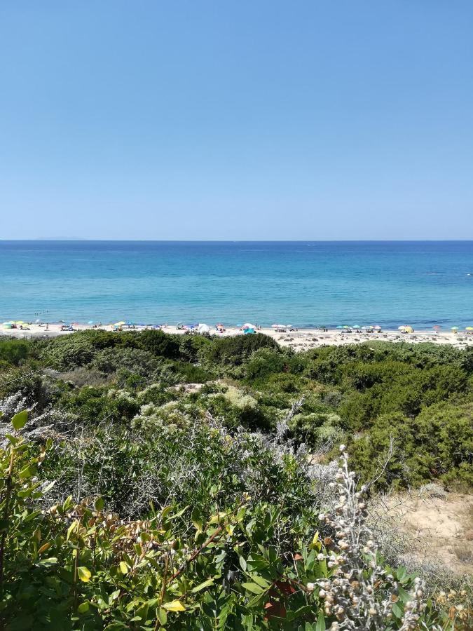 Sea Paradise Apartment فاليدوريا المظهر الخارجي الصورة