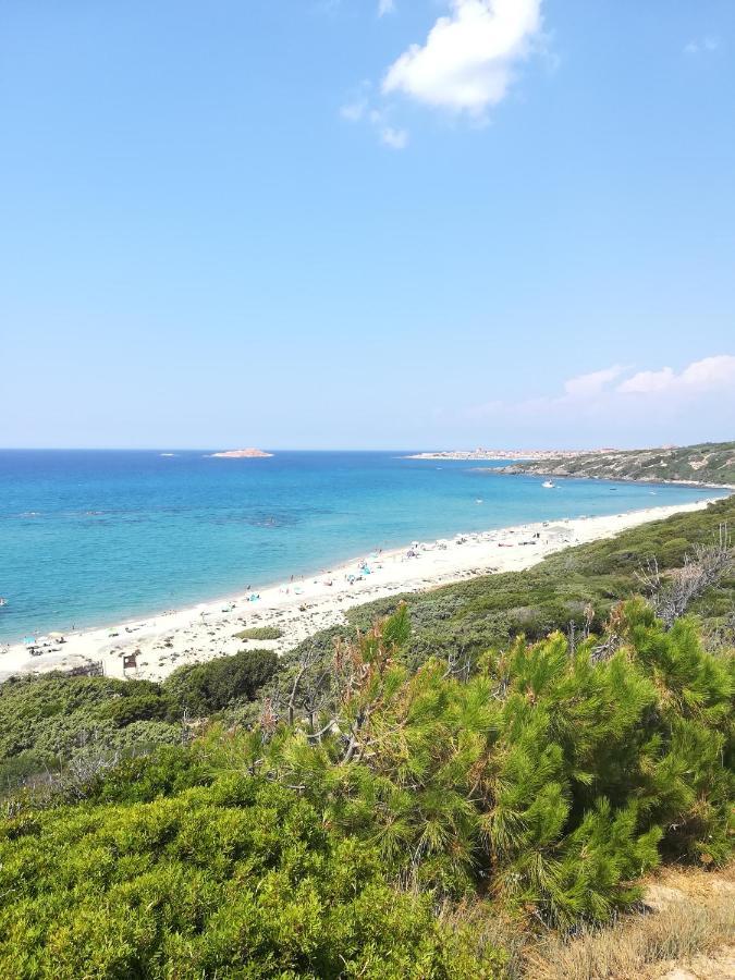 Sea Paradise Apartment فاليدوريا المظهر الخارجي الصورة